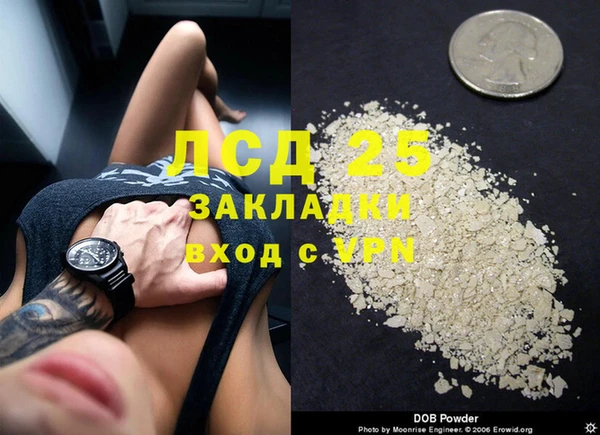 ГАЛЛЮЦИНОГЕННЫЕ ГРИБЫ Балабаново