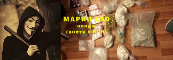 ГАЛЛЮЦИНОГЕННЫЕ ГРИБЫ Балабаново