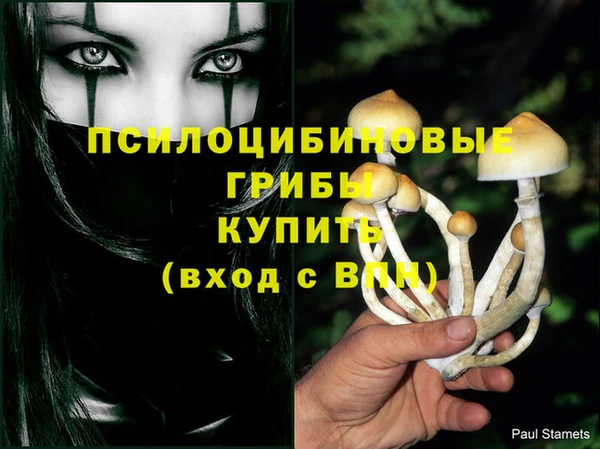 соль ск Балахна