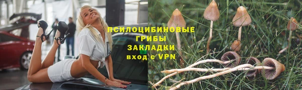 ГАЛЛЮЦИНОГЕННЫЕ ГРИБЫ Балабаново